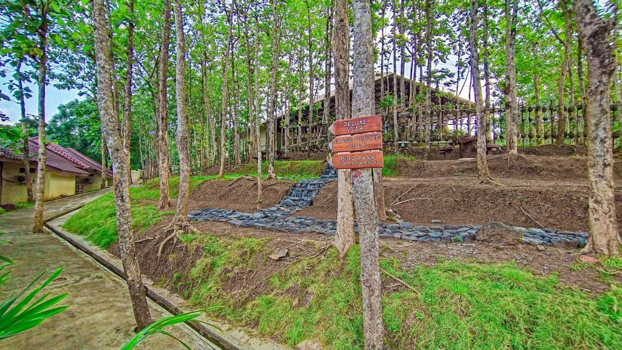 Kasuari Exotic Resort Magelang Exteriör bild